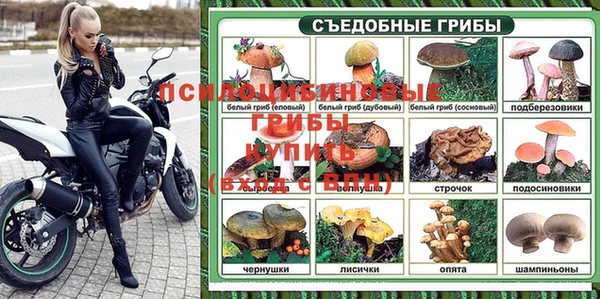 твердый Алексеевка