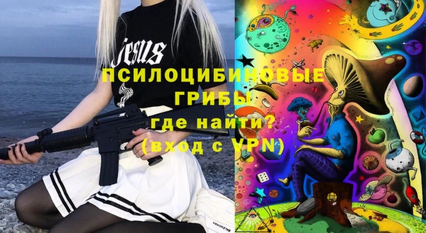 тгк Алзамай