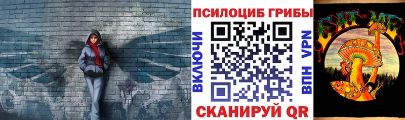 Галлюциногенные грибы Psilocybine cubensis  OMG зеркало  Качканар 